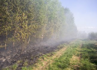 Płoną torfowiska na Orawie, Akcja trwa FOTO
