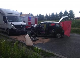 Tragiczny wypadek w Cianowicach na DW794. Nie żyje kobieta. ZDJĘCIA!