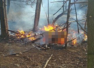 Pożar szałasu w powiecie oświęcimskim. Strażacy ujawnili zwęglone ciało. FOTO