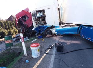 Zderzenie dwóch ciężarówek i osobówki na DK 79 ZDJĘCIA!