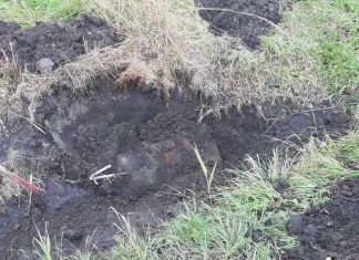 Nieznana substancja w rowie, trwa akcja służb. ZDJĘCIA