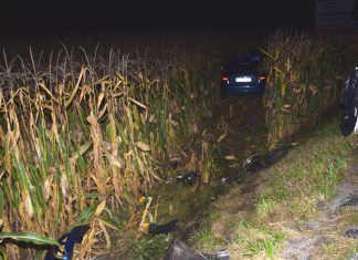 Śmiertelny wypadek w gminie Zator. Nie żyje 16-latek. Policja poszukuje świadka – ZDJĘCIA