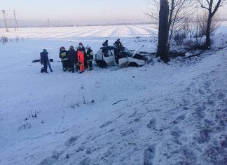 Groźne dachowanie samochodu na DK-49 w Gronkowie. Trwa akcja służb ratunkowych – ZDJĘCIA!