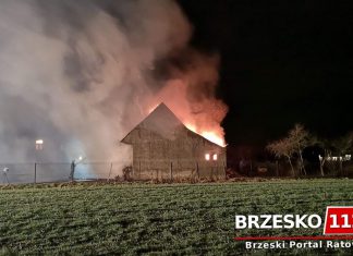 Pożar zabudowań gospodarczych w powiecie brzeskim. ZDJĘCIA, FILM