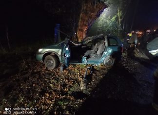 Samochód osobowy uderzył w drzewo w powiecie krakowskim, poszkodowanych kilka osób ZDJĘCIA!