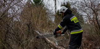 Ostrzeżenie przed porywistym wiatrem. Najtrudniejsza sytuacja będzie panowała w rejonach górskich