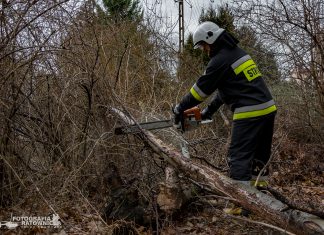 Ostrzeżenie przed porywistym wiatrem. Najtrudniejsza sytuacja będzie panowała w rejonach górskich