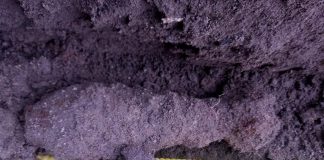 Dąbrowscy policjanci zabezpieczali niebezpieczne znalezisko pochodzenia wojskowego