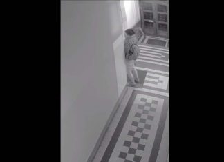 Krakowscy policjanci ustalili i zatrzymali sprawcę uszkodzenia drzwi biura poselskiego