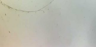 Kolekcjoner … pocisków artyleryjskich