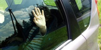 Nie zostawiaj dzieci i zwierząt w rozgrzanym samochodzie