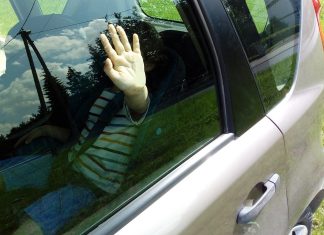 Nie zostawiaj dzieci i zwierząt w rozgrzanym samochodzie