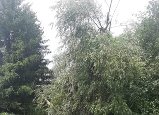 677 interwencji małopolskich strażaków ze względu na zdarzenia atmosferyczne – 16.07.2024 r.