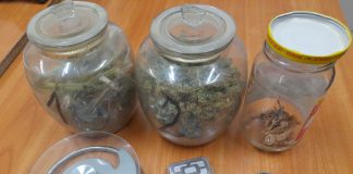 45-latek podejrzany po posiadanie marihuany i grzybków halucynogennych