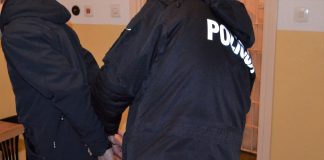 Policjanci i strażacy w interwencji związanej z zatrzymaniem poszukiwanego włamywacza