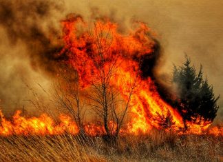 Tragiczny bilans pożarów traw w Małopolsce – pierwsza ofiara śmiertelna w 2025 roku