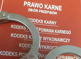Sześć listów gończych wydanych za kobietą. Polka wpadła na lotnisku w Krakowie