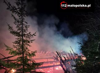 Pożar w Targanicach (pow. wadowicki) – siły i środki na miejscu działań