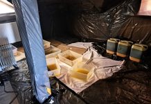 Potężne uderzenie małopolskich policjantów w narkobiznes. Ujawnili pół tony nielegalnych substancji o wartości 22,5 miliona złotych