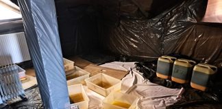 Potężne uderzenie małopolskich policjantów w narkobiznes. Ujawnili pół tony nielegalnych substancji o wartości 22,5 miliona złotych