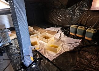 Potężne uderzenie małopolskich policjantów w narkobiznes. Ujawnili pół tony nielegalnych substancji o wartości 22,5 miliona złotych