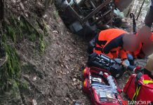 Wypadek podczas prac leśnych. 10-latek trafił do szpitala