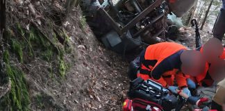 Wypadek podczas prac leśnych. 10-latek trafił do szpitala