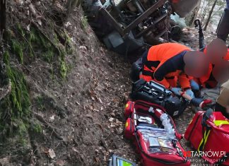 Wypadek podczas prac leśnych. 10-latek trafił do szpitala
